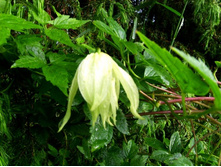 ������ ����� ��..JPG