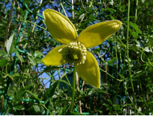 ������ ����� ����� (���).JPG