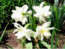 ������� ��������������.JPG