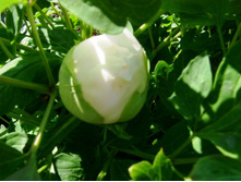 ���� ����������� ����� �����.JPG