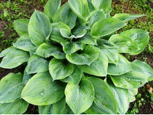 ����� 2.JPG