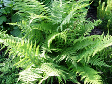 �������� �� ������ ���.JPG