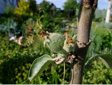 ������� ����������.JPG