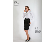 5388, 7334.jpg 1157 �., 1308 �.