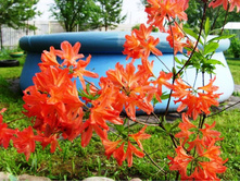 ����� ������.JPG