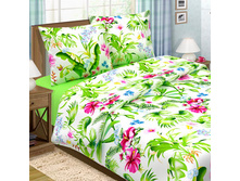 ������! gavaii.jpg