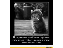 ����-������