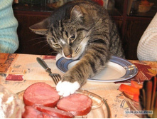 � ���, �������, ��������