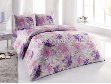 ZAMBAK �����.JPEG