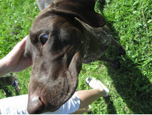 ����������� 041.jpg