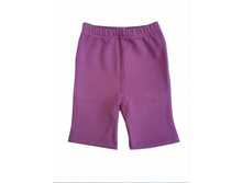 0667 �����