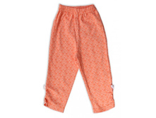 1003 �. �����