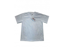 1501-023 ��������	