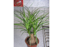 ������- �� 400 ���.