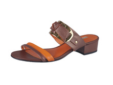 ��������� �������