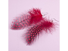 ������, 49 ���..jpg