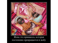 82284601_zhena-eto-printsessa-kotoraya-postepenno-prevraschaetsya-v-zhabu.thumbnail.jpg