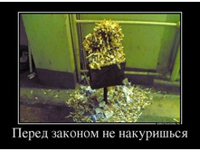 77915130_pered-zakonom-ne-nakurishsya.jpg
