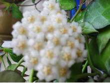 SDC13021.JPG ���� �������� ������