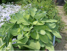 ����� 1.JPG