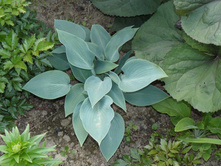 ����� 6.JPG