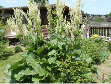 ������ 30 �.JPG