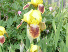 ���� ��������� 45.JPG