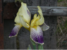 2 ���� ��������� 45 .JPG