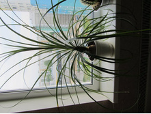 ����������� 006.jpg