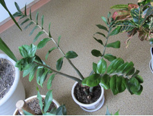 ����������� 014.jpg