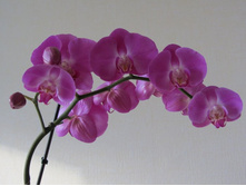 ����������� 017.jpg