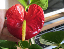 ����������� 024.jpg