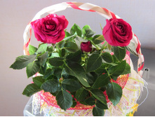 ����������� 030.jpg