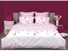 ���� Alegria.jpg