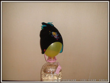 ������ 48-50 ( 120 ������)