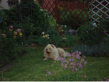 DSC09098.JPG