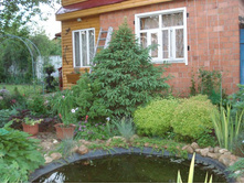DSC09114.JPG