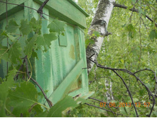 ������� �� ��ң��