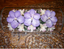 4230 ������