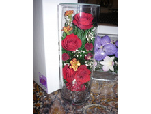 1600 �����