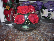 1670 ������