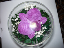 330 ������