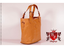 1950.����� �� ���� �������� ����� � ���������   L01116