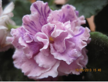 ��-��������