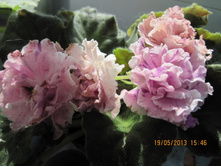 ��-��������