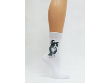 �3�52 ���. 37���.