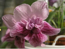 DS - ������� ������