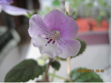 ������������ ��� �������