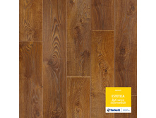 ��� ����� ����������.  674���. �� �.��.+���%