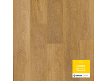 ��� ������ �������. 674���. �� �.��.+���%